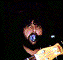 tom1wl2tn.gif