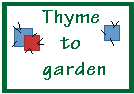 thyme