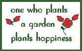 plant