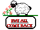 ewe