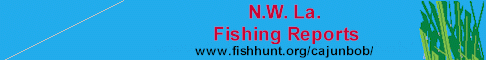 Banner by Galatea Graphics