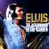 Elvis