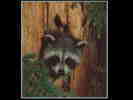 picture #11