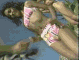 tpsj32.gif 3.56 K