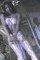 tpsj6.gif 2.51 K
