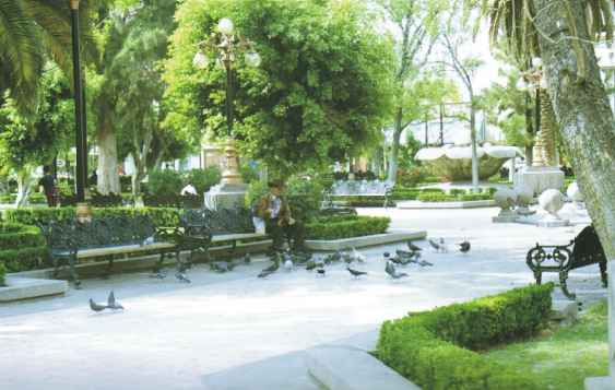 PRESIONA AQUI PARA ENTRAR A SAN LUIS Y SUS BARRIOS