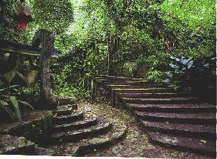 SURREALISMO EN XILITLA