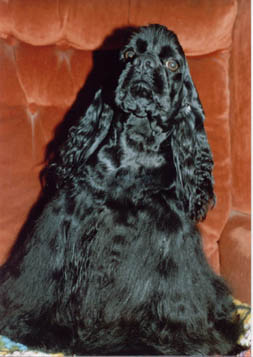 bobby2001.jpg (27544 bytes)