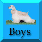 boysbutton.jpg (12560 bytes)