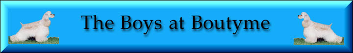 boyslogo.jpg (22862 bytes)