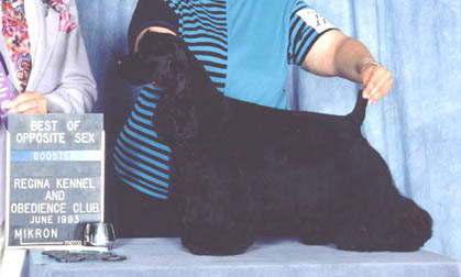heidi2001.jpg (26491 bytes)