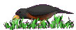 BIRD AND WORM GRAPHIC
