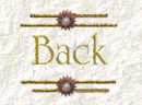 BACK BUTTON