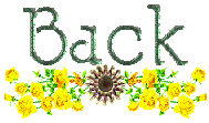 Back Button