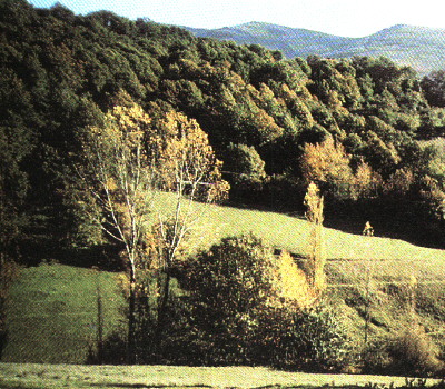 Estaca de Bares