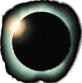Eclipse Total en Vivo!