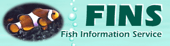 FINS