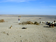 Alraq Desert, Jordan