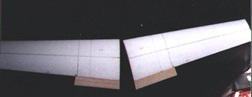 /user/p38wingjoin.jpg