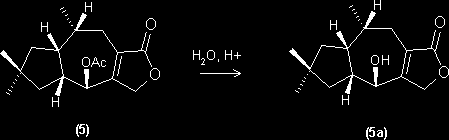Hydrolysis of the first product of the hydrogenation of anhydrolactarorufin A acetate