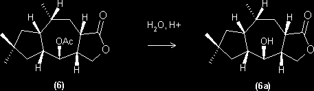 Hydrolysis of the second product of the hydrogenation of anhydrolactarorufin A acetate