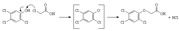 Mechanism for Production of 2,4,5-Trichlorophenoxyacetic acid