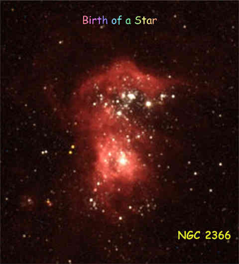Stars