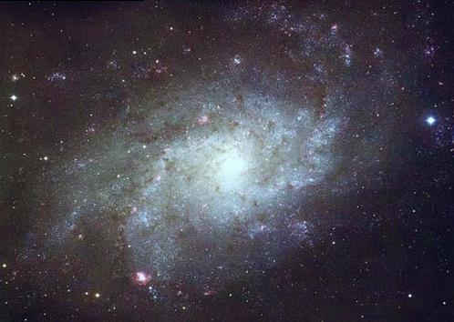 M33