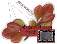 Learn your personality type