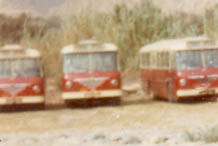 Omnibuses