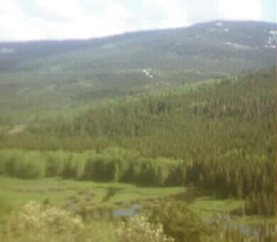 Vista