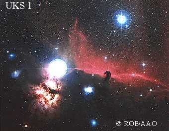 A Picture of the Horse Head Nebula