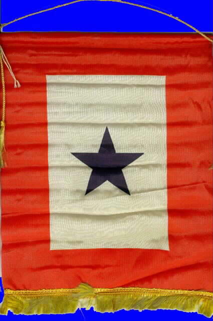 BLUE STAR BANNER