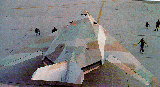 f-117 pic