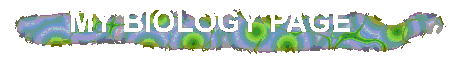 My Biology Page logo