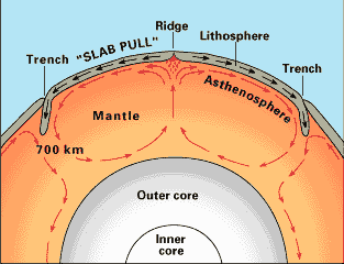 Driving Forces Of Plate Tectonics