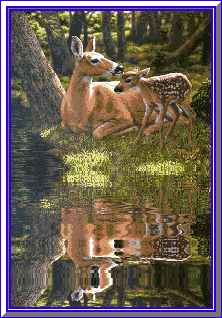 A Mother's Love