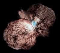 etacarinae.jpg (3615 bytes)