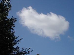 it's the cloud bus!  Everybody get on the cloud bus!  :-)