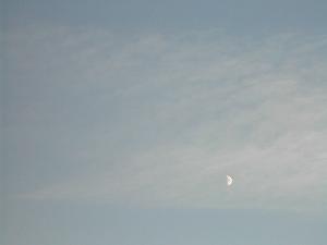 the moon