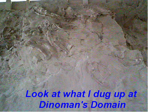 Fossils 2