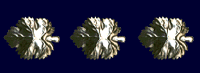Colonel 