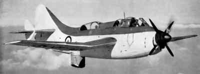 gannet photo