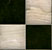 tex00059.JPG (1877 bytes)