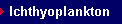 Ichthyoplankton ecology