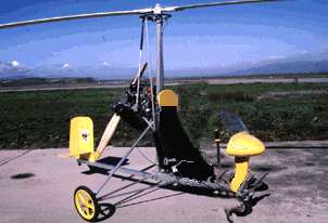bumblebee1.jpg (10478 bytes)