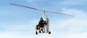 rotorwing.jpg (3790 bytes)