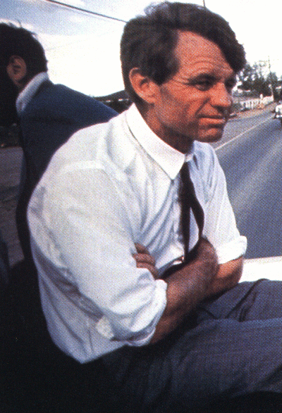 h.gif (215265 bytes)