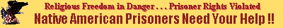 Native American Political Issues - 3k