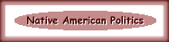 Native American Political Issues - 3k
